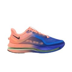 Pantofi sport Nike PEGASUS PREMIUM Barbati