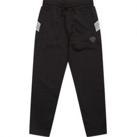 Pantaloni EA7 M PANTS CH PL Barbati