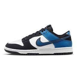 Pantofi Sport Nike DUNK LOW RETRO NAS 