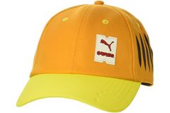 Caciula Puma BMW M MTSP BEANIE