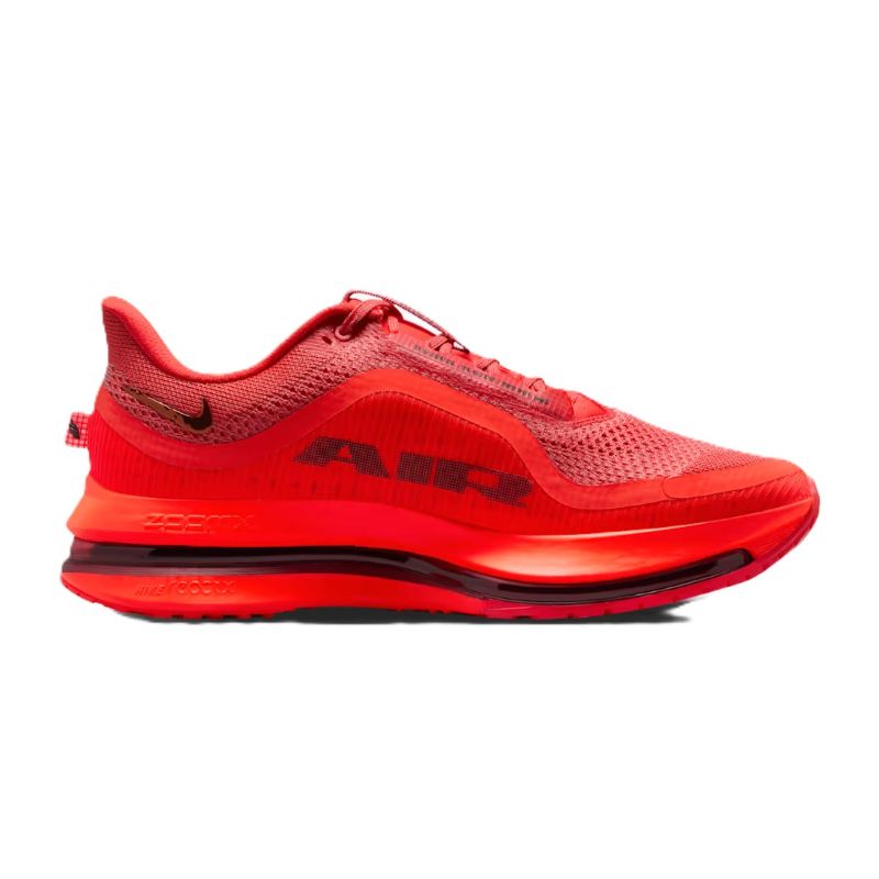 Pantofi sport Nike NIKE PEGASUS PREMIUM Barbati