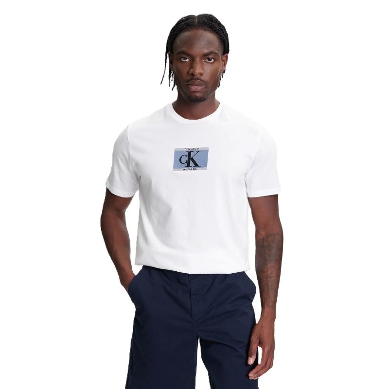 Tricou Calvin Klein SS 30s E SPRTSWR 3 G Barbati